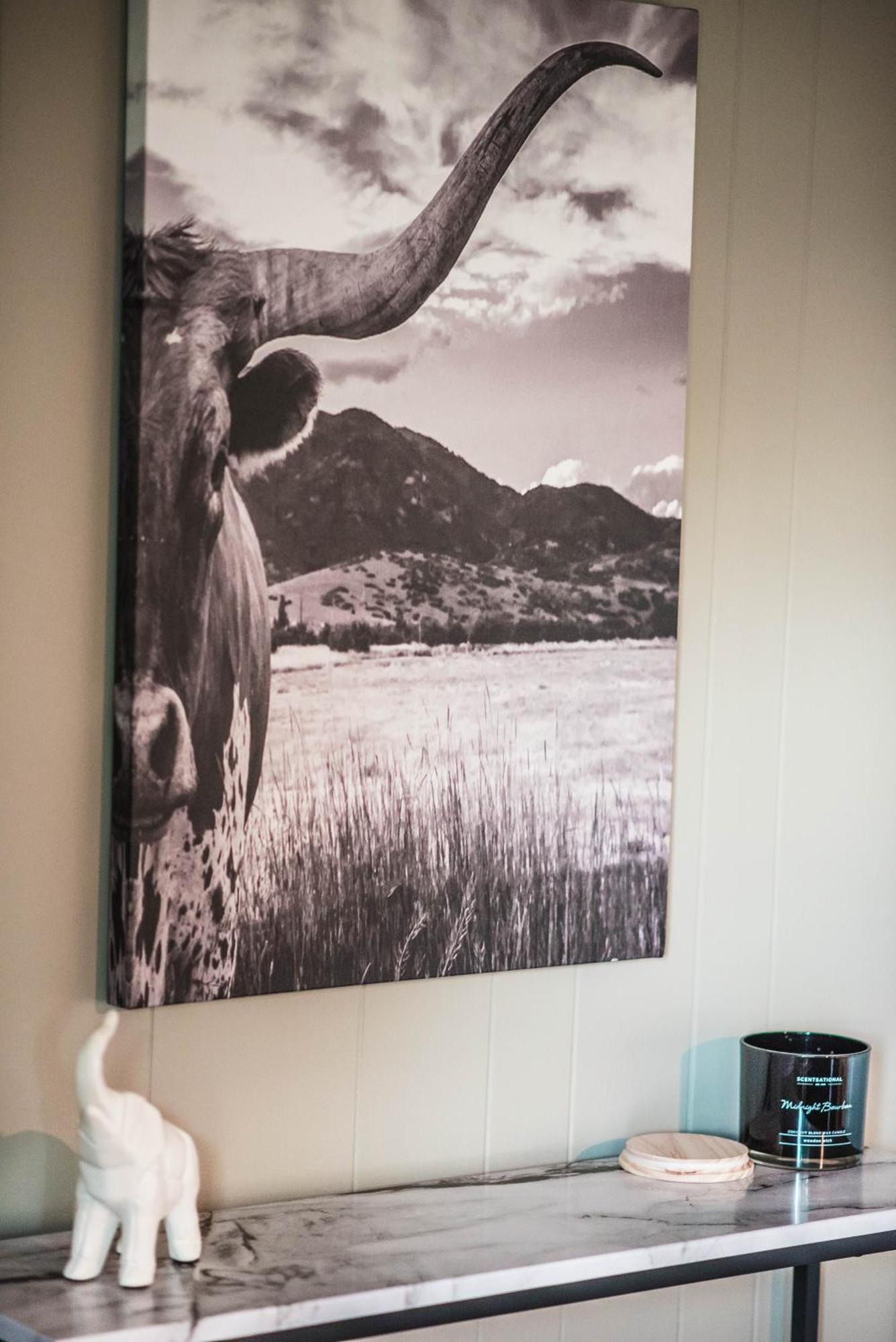 Вілла Mount Tabor Ranch Near Vt - King Bed/Fast Wi-Fi Блексбург Екстер'єр фото
